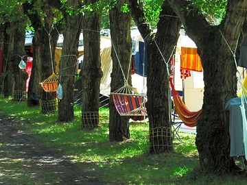Hammocks in the trees (added by manager 18 jan 2018)
