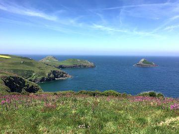 The rumps (added by manager 18 jul 2021)