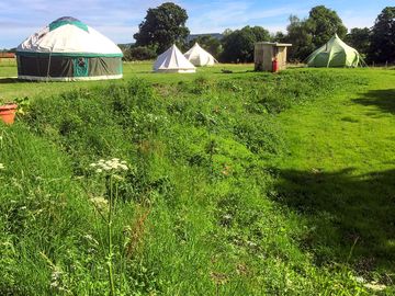 Yurts on site (added by manager 15 aug 2022)