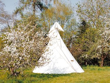 Tipi between the trees (added by manager 27 jan 2021)