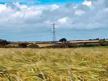 Cornfield view (added by manager 22 jul 2021)