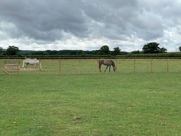 Horse field (added by manager 26 jul 2022)