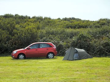 The campsite, my pitch. (added by visitor 13 aug 2021)