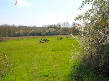 Campsite in the meadow (added by manager 25 apr 2023)