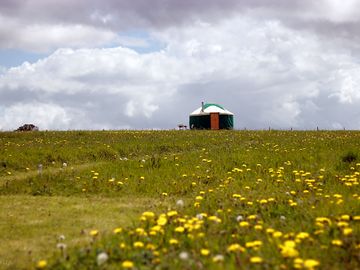 Yurt (added by manager 22 jun 2021)