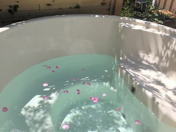 Hot tub with rose petals (added by manager 17 jan 2024)