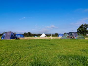 Family-sized pitches for larger tents or small campervans (added by manager 19 aug 2022)
