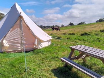 Tent location 2023 ....she is a great space and is supplied with bedding electric & caravan kitchen (added by manager 18 apr 2024)