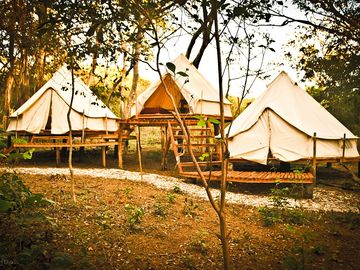 Glamping tents in the jungle (added by manager 04 feb 2017)