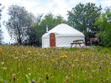Bryn helyg yurt exterior (added by manager 12 dec 2023)