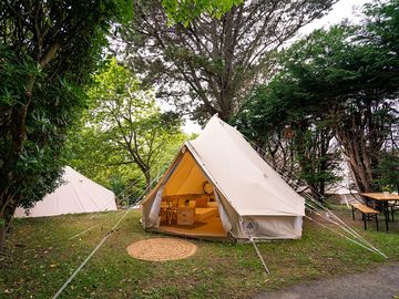 Bell tent among the trees (added by manager 17 jan 2024)