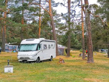 Motorhome pitch among the trees (added by manager 08 sep 2022)