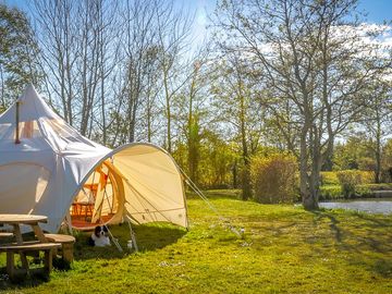 Stargazer bell tent (added by manager 09 aug 2022)
