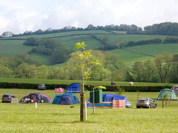 Tents in the field with hill views (added by manager 14 jun 2014)