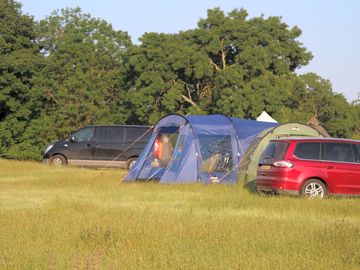 Tent pitches sheltered by trees (added by manager 25 mar 2024)