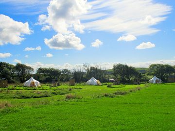 Luxury tents within a large scenic field (added by manager 30 oct 2018)