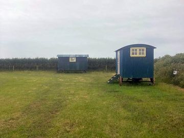 Shepherd's hut (added by manager 27 jun 2023)