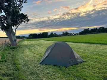 Camping by the old oak tree (added by manager 09 aug 2023)
