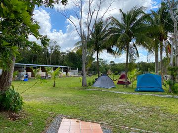 Campsite (added by manager 22 apr 2023)