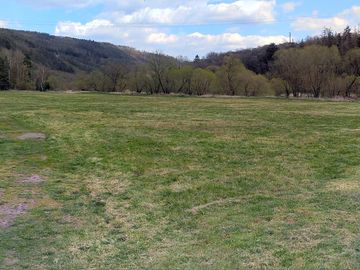Meadows surrounded by trees (added by manager 14 jun 2020)