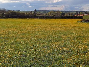 View across the fields towards the village (added by manager 19 may 2021)
