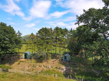 Woodland setting for the pods (added by manager 10 jul 2022)