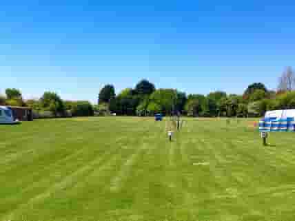 Grass pitches
