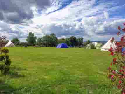 Spacious tent pitches