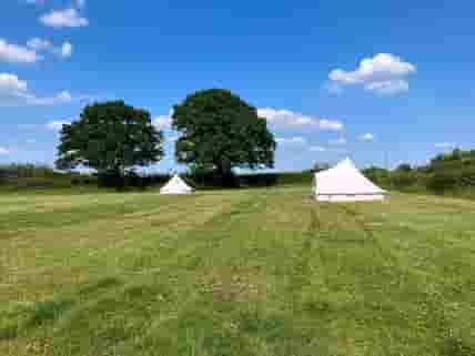 Bell tents at Spring Hill Farm