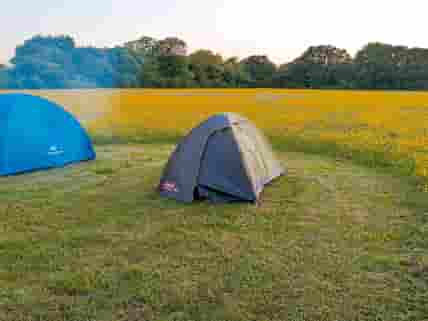 Visitor image of the tent pitched around buttercup filled field