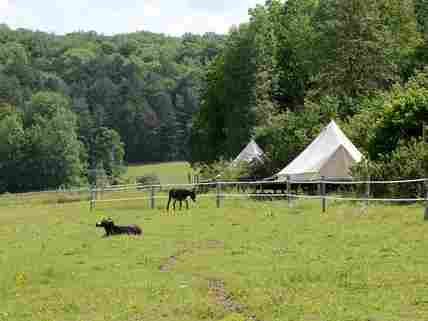 Eco-friendly setting for donkeys and tents