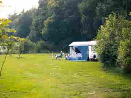 Spacious pitches with forest views