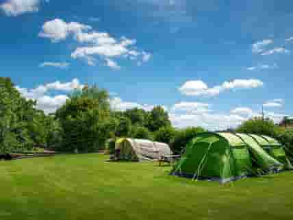 Camping grass pitches with/without electric hook up at Rockbridge Park