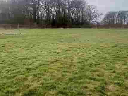 Grassy pitches