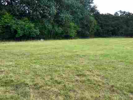Flat grass pitches