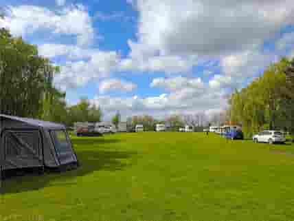 Grass pitches surrounded by trees (added by manager 01 May 2017)