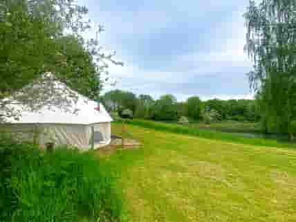 Secluded site with entire site for our bell tent