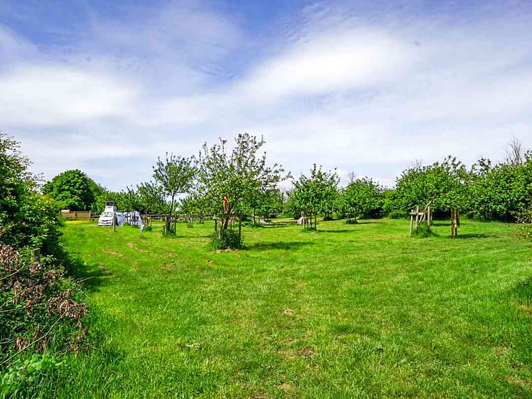 Dowlais Farm Holidays (a kezelő által 2022.10.14. napon hozzáadott fénykép) Dowlais Farm Holidays (a kezelő által 2022.10.14. napon hozzáadott fénykép)