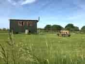 Shepherd's hut exterior (added by manager 09 Jun 2022)