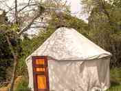 Yurt exterior (added by manager 06 Jun 2019)