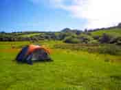 Camping in the meadow (added by manager 29 Aug 2023)