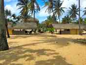 Palapa Campsite (added by manager 26 Jul 2023)