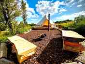 Firepit area outside of the bell tent (added by manager 04 Jul 2023)
