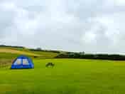 Wee bivvy tents right to roam! (added by manager 25 Aug 2022)