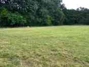 Flat grass pitches (added by manager 27 Jul 2022)