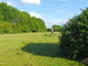Typical grassy pitch (added by manager 05 Jun 2020)