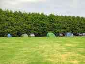 Grass pitches (added by manager 05 Aug 2022)