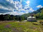 Mongolian yurt backed by trees (added by manager 08 May 2024)