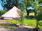 Goldfinch bell tent (added by manager 11 Jun 2018)