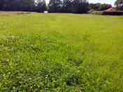 Grassy pitches (added by manager 11 Aug 2021)
